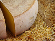 Fot. Pampas, Ile sera w serze – czyli na co zwracać uwagę kupując ser żółty.