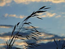 Fot. megi65, Moje Podlasie 