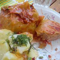 Gołąbki z młodej kapusty z mięsem i ryżem