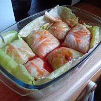 Gołąbki z młodej kapusty z mięsem i ryżem