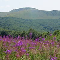 Bieszczady i Podlasie czyli lato 2015