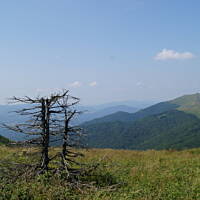 Bieszczady i Podlasie czyli lato 2015