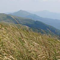 Bieszczady i Podlasie czyli lato 2015
