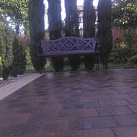 poranne podlewanie ...