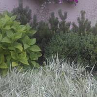 ogrodowo - letnio i upalnie ...