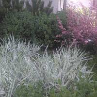 ogrodowo - letnio i upalnie ...