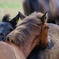 Bieszczady i Podlasie czyli lato 2015