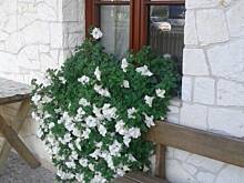 Fot. megi65, Wypad wrześniowy 