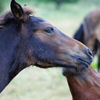 Bieszczady i Podlasie czyli lato 2015