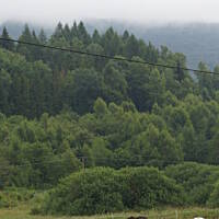 Bieszczady i Podlasie czyli lato 2015