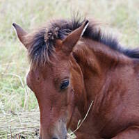 Bieszczady i Podlasie czyli lato 2015