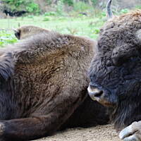 Bieszczady i Podlasie czyli lato 2015