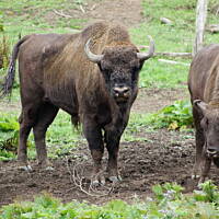 Bieszczady i Podlasie czyli lato 2015