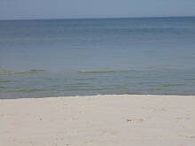 Fot. megi65, Dzika plaża