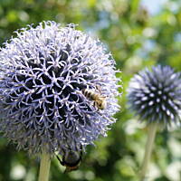 Bieszczady i Podlasie czyli lato 2015
