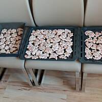 Pierniczki Pani Betkowskiej