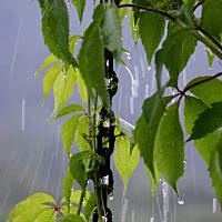 Bieszczady i Podlasie czyli lato 2015