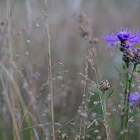 Bieszczady i Podlasie czyli lato 2015
