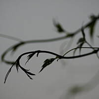 Bieszczady i Podlasie czyli lato 2015