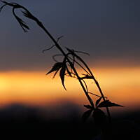 Bieszczady i Podlasie czyli lato 2015