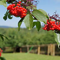 Bieszczady i Podlasie czyli lato 2015