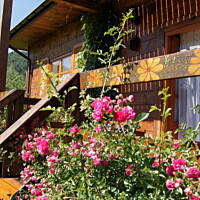 Bieszczady i Podlasie czyli lato 2015