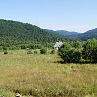 Bieszczady i Podlasie czyli lato 2015