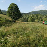 Bieszczady i Podlasie czyli lato 2015