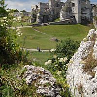 Bieszczady i Podlasie czyli lato 2015