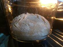 Fot. BalbinaPtys, Chleb z naczynia zaroodpornego