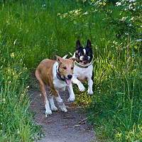 Z osiedlowym kolegą przypadkiem spotkanym. Szaleństwom nie było końca :D