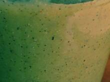 Fot. Wróbelek, koktajl z selera, kwi i pomarańczy