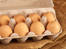 Fot. Wkn, Jajko - bomba z cholesterolu czy białko na zdrowie?