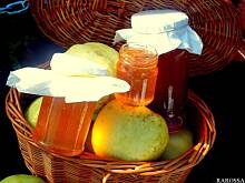 Fot. Olkka, Galaretka jabłkowa