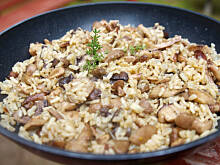 Fot. Wkn, Risotto borowikowo-maślakowe