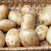 Placki ziemniaczane najprostsze bez dodatków