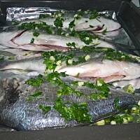 moja mała Italia ...