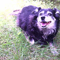 Moja przyjaciółka Sara ...od 13 lat .....jest ...i daje radość i miłość...