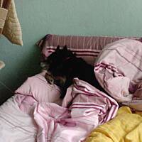 Moja przyjaciółka Sara ...od 13 lat .....jest ...i daje radość i miłość...