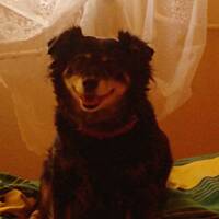 Moja przyjaciółka Sara ...od 13 lat .....jest ...i daje radość i miłość...