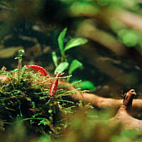 Mój podwodny świat cz.1