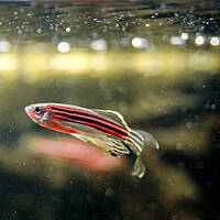 Mój podwodny świat cz.1