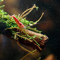 Mój podwodny świat cz.1