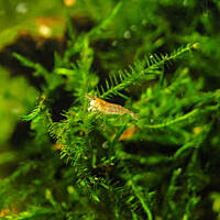 Mój podwodny świat cz.1