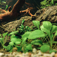 Mój podwodny świat cz.1