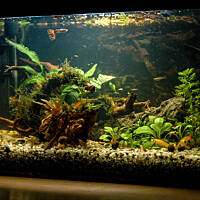 Mój podwodny świat cz.1