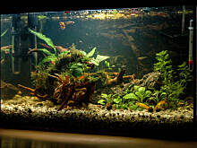 Fot. Gluba666, Mój podwodny świat cz.1