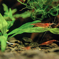 Mój podwodny świat cz.1