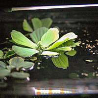 Mój podwodny świat cz.1