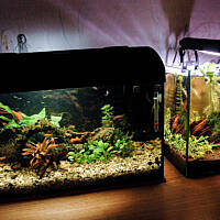 Mój podwodny świat cz.1